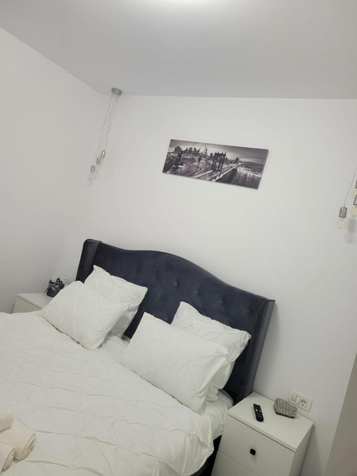 Tag Apartament Тімішоара Екстер'єр фото